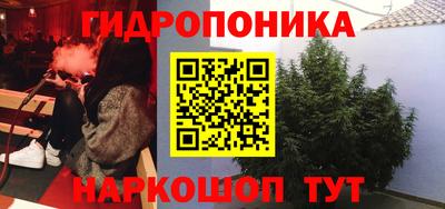 индика Апрелевка