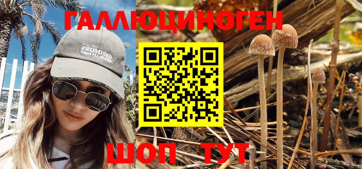 Галлюциногенные грибы MAGIC MUSHROOMS Подольск