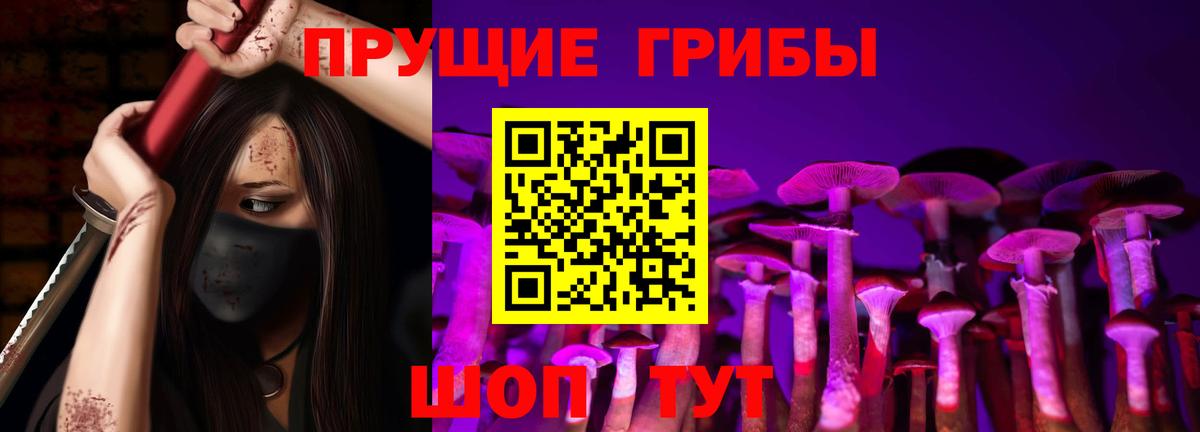 Галлюциногенные грибы Psilocybine cubensis Подольск